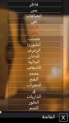 ميثم التمار القران الكريم android App screenshot 0